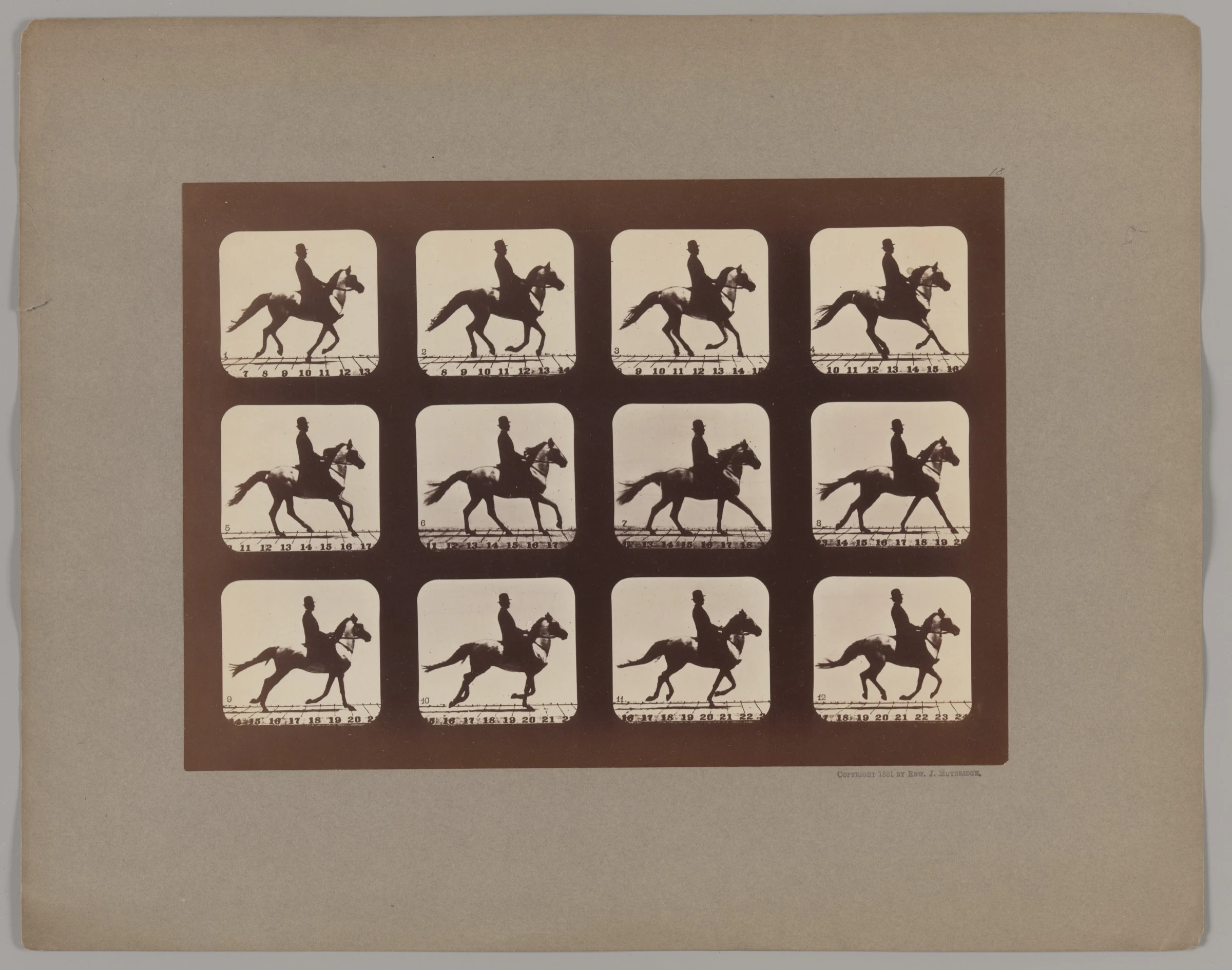 Twelve sequential photographs of a rider and horse in motion arranged in a three-by-four grid.